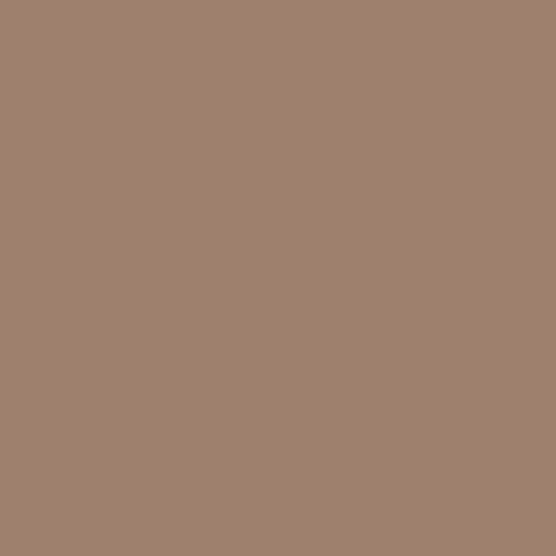 DMC Embroidery Floss, 6 - Strand - Beige Brown Light 841 - Honey Bee Stamps