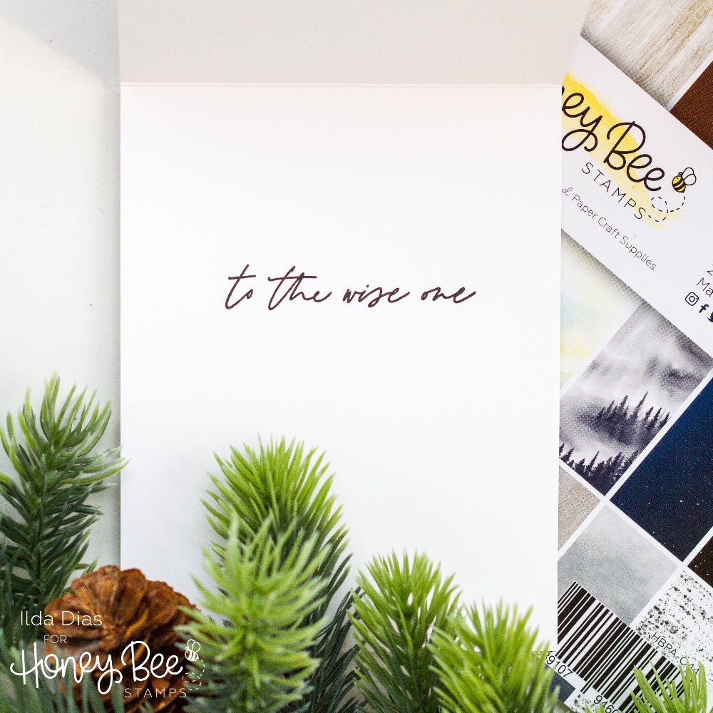 To The Wise One - 3x4 Photopolymer Stamp Set - Honey Bee Stamps