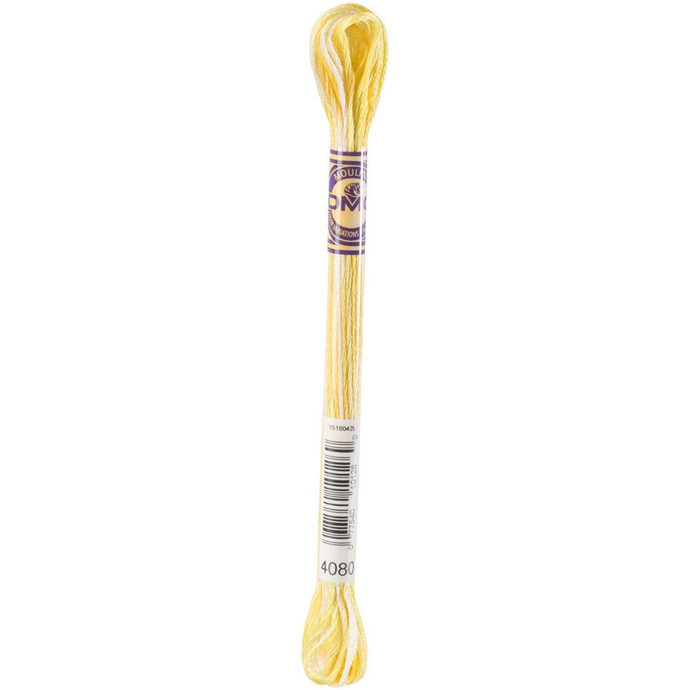 DMC Embroidery Floss, 6 - Strand Multi - Color Variations - Daffodil Fields - Honey Bee Stamps