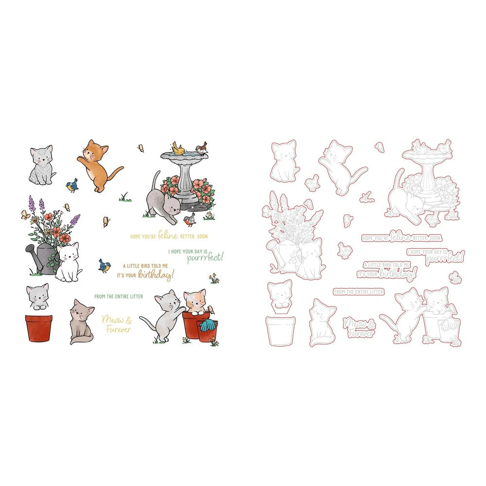Meow & Furever Stamp Set and Coordinating Honey Cuts Bundle