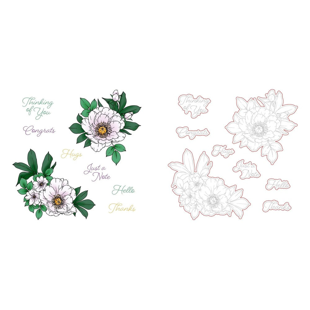 Perfect Peonies Stamp Set and Coordinating Honey Cuts Bundle