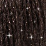 DMC 6 - Strand Etoile Embroidery Floss 8.7yd - Black Brown - Honey Bee Stamps