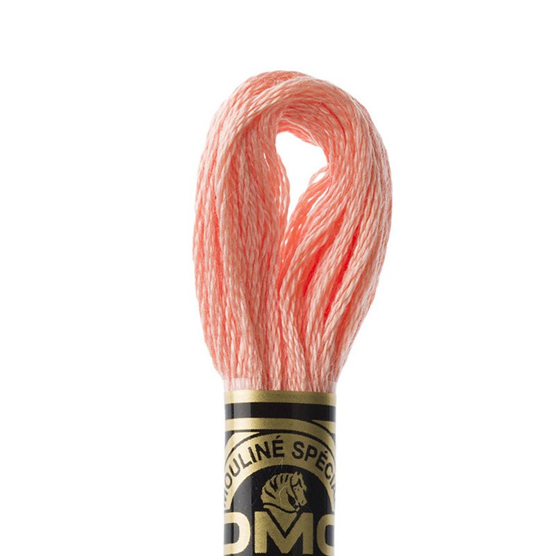 DMC Embroidery Floss, 6-Strand - Apricot Light 3824 - Honey Bee Stamps