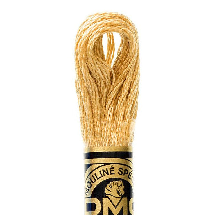 DMC Embroidery Floss, 6-Strand - Hazelnut Brown Light 422 - Honey Bee Stamps