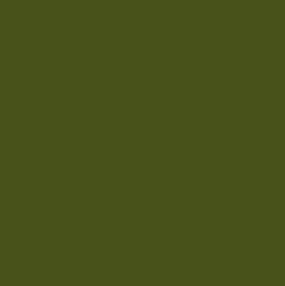 DMC Embroidery Floss, 6 - Strand - Hunter Green 3346 - Honey Bee Stamps
