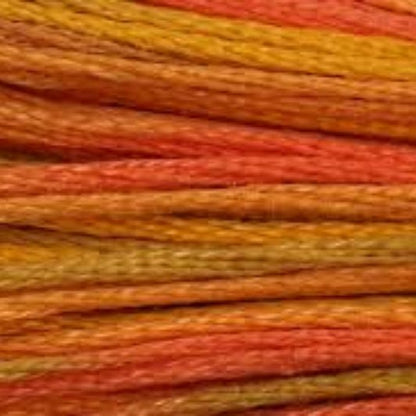 DMC Embroidery Floss, 6 - Strand Multi - Color Variations - Desert Canyon - Honey Bee Stamps