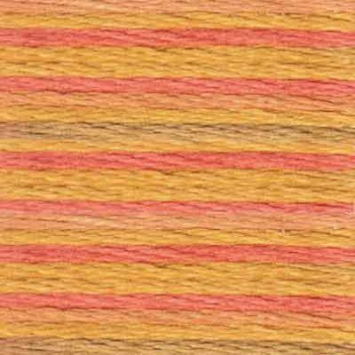 DMC Embroidery Floss, 6 - Strand Multi - Color Variations - Desert Canyon - Honey Bee Stamps