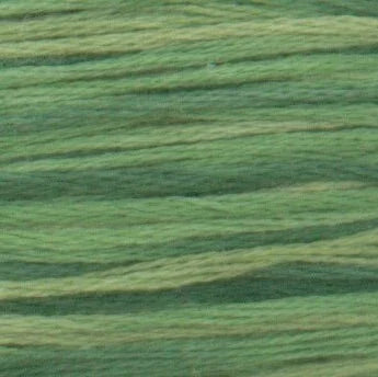 DMC Embroidery Floss, 6 - Strand Multi - Color Variations - Evergreen Forest - Honey Bee Stamps