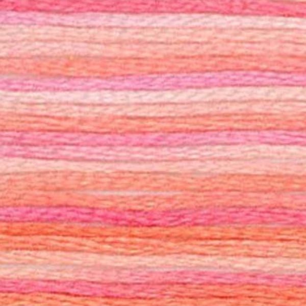 DMC Embroidery Floss, 6 - Strand Multi - Color Variations - Sunrise - Honey Bee Stamps