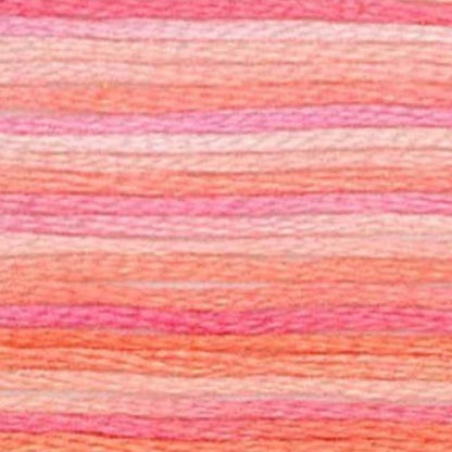 DMC Embroidery Floss, 6 - Strand Multi - Color Variations - Sunrise - Honey Bee Stamps