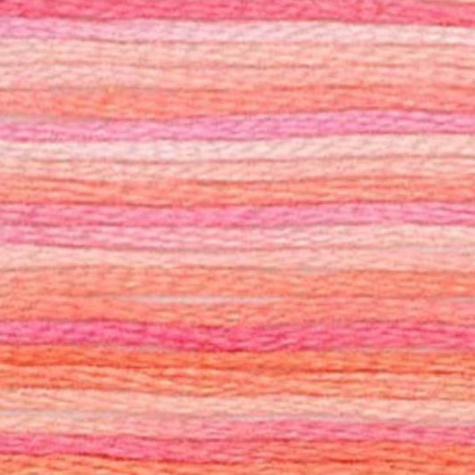 DMC Embroidery Floss, 6 - Strand Multi - Color Variations - Sunrise - Honey Bee Stamps