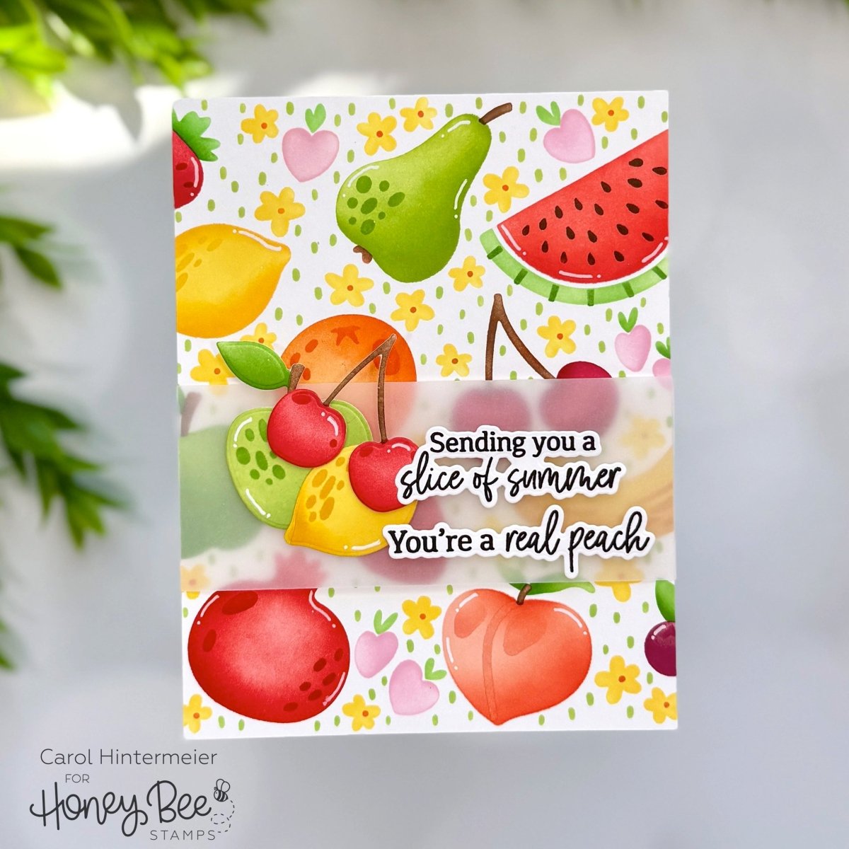 Fruit Medley - Honey Cuts Coordinating Dies - Honey Bee Stamps