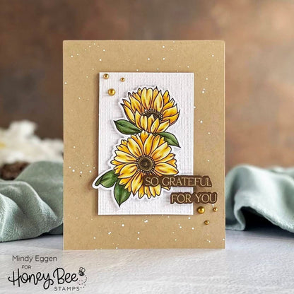 Grateful Gatherings - Honey Cuts - Coordinating Dies - Honey Bee Stamps
