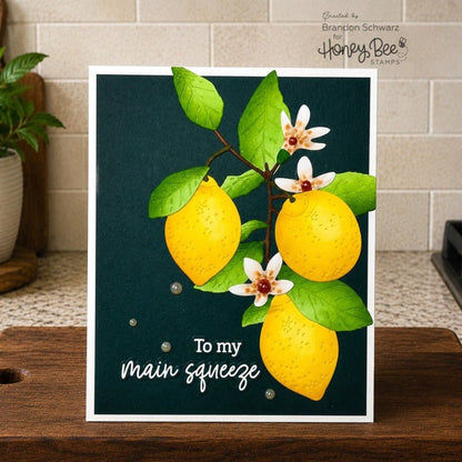 Lovely Layers: Citrus - Honey Cuts Stand-Alone Dies - Honey Bee Stamps