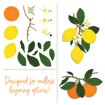 Lovely Layers: Citrus - Honey Cuts Stand-Alone Dies - Honey Bee Stamps