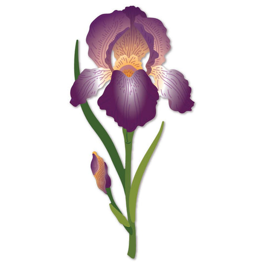 Lovely Layers: Iris - Honey Cuts - Stand - Alone Dies - Honey Bee Stamps