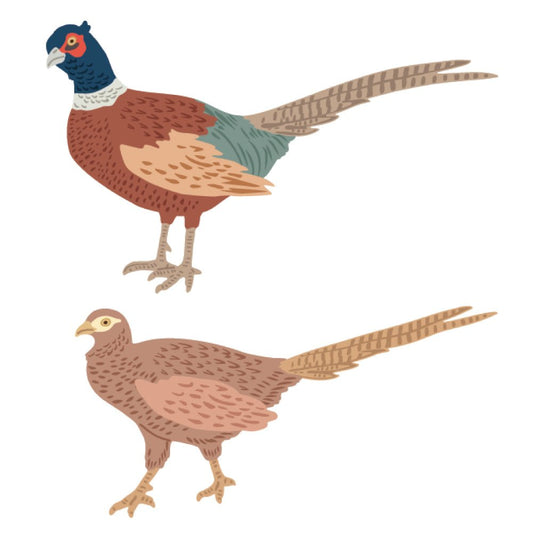 Lovely Layers: Pheasant - Honey Cuts - Stand - Alone Dies - Honey Bee Stamps