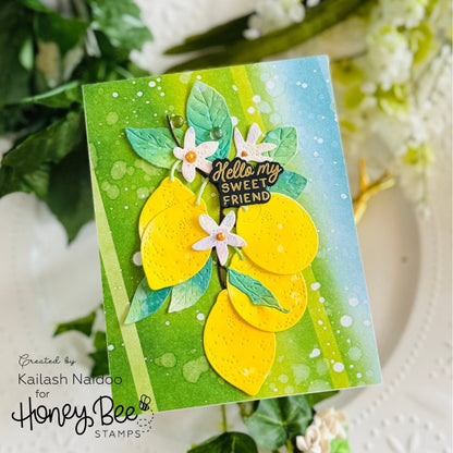 Signature Surfaces - 5.5"x8.5" - 24 Double-Sided Sheets - Includes Paper Organizer! - Honey Bee Stamps