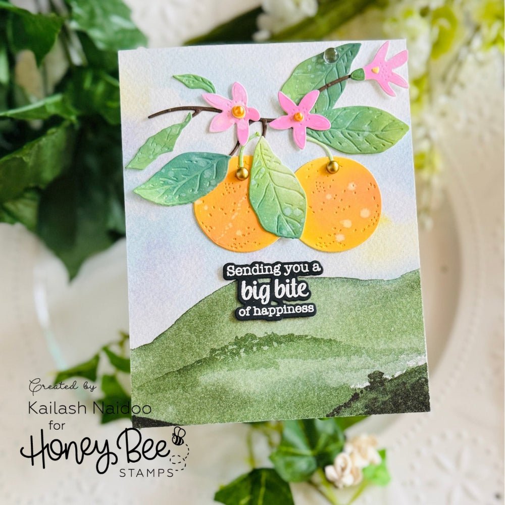 Signature Surfaces - 5.5"x8.5" - 24 Double-Sided Sheets - Includes Paper Organizer! - Honey Bee Stamps