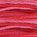 DMC Embroidery Floss, 6 - Strand - Variegated Carnation 107 - Honey Bee Stamps