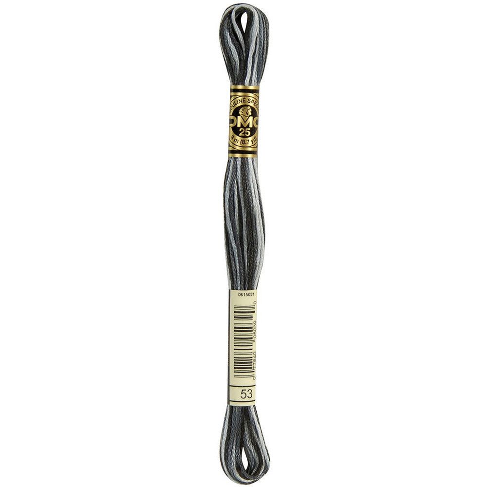DMC Embroidery Floss, 6 - Strand - Variegated Steel Gray 53 - Honey Bee Stamps