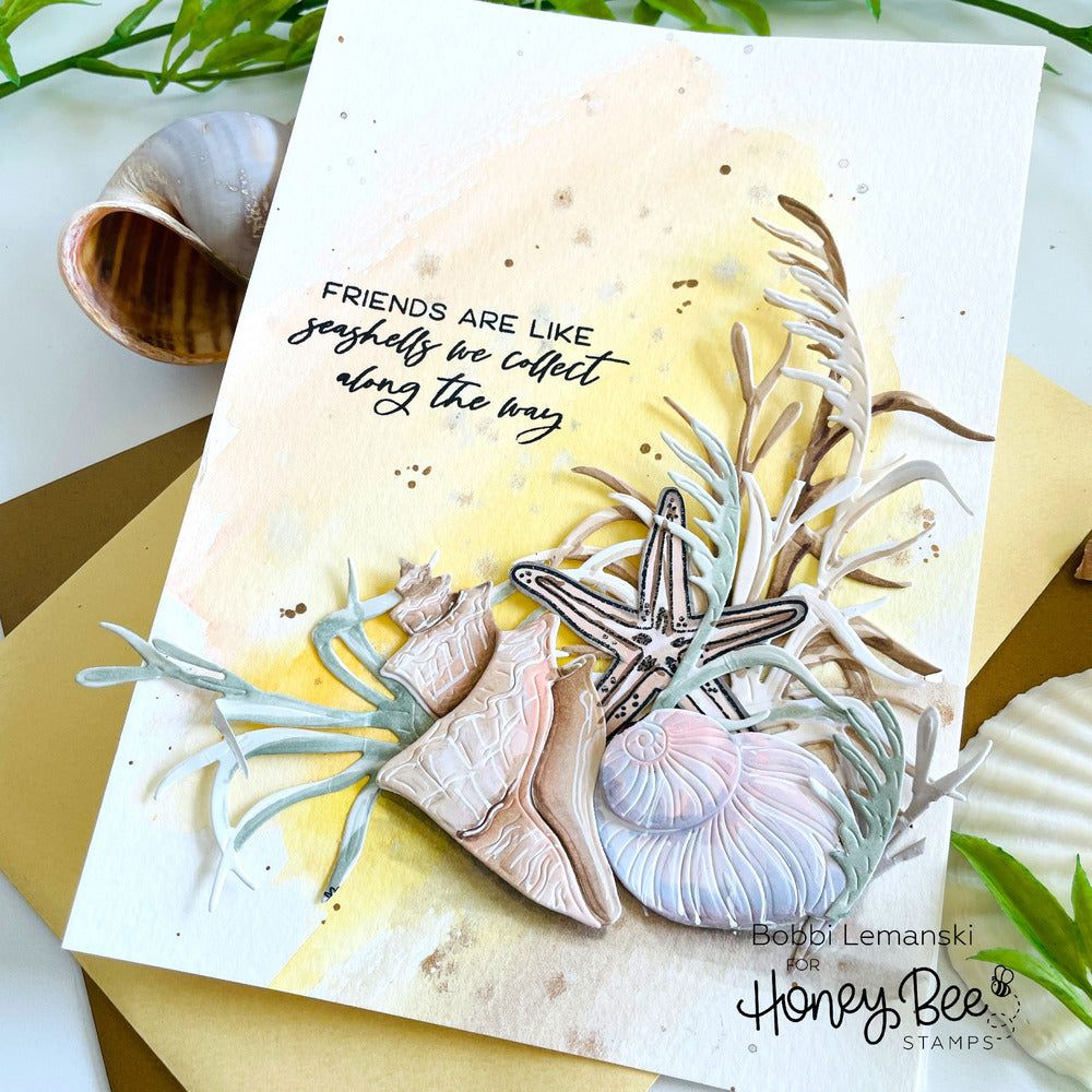 Seashells - 6x8 Photopolymer Stamp Set - Honey Bee Stamps