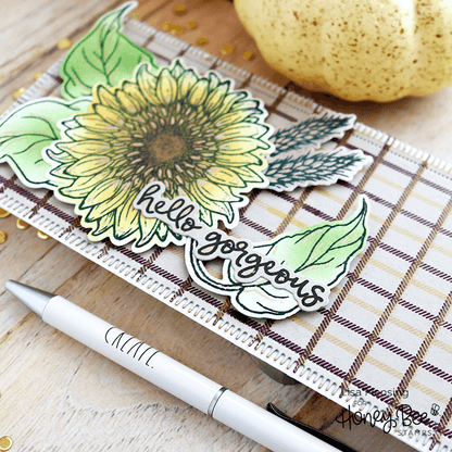 Slimline Sentiments: Blanket Edge Frame - Honey Cuts - Stand - Alone Dies - Retiring - Honey Bee Stamps