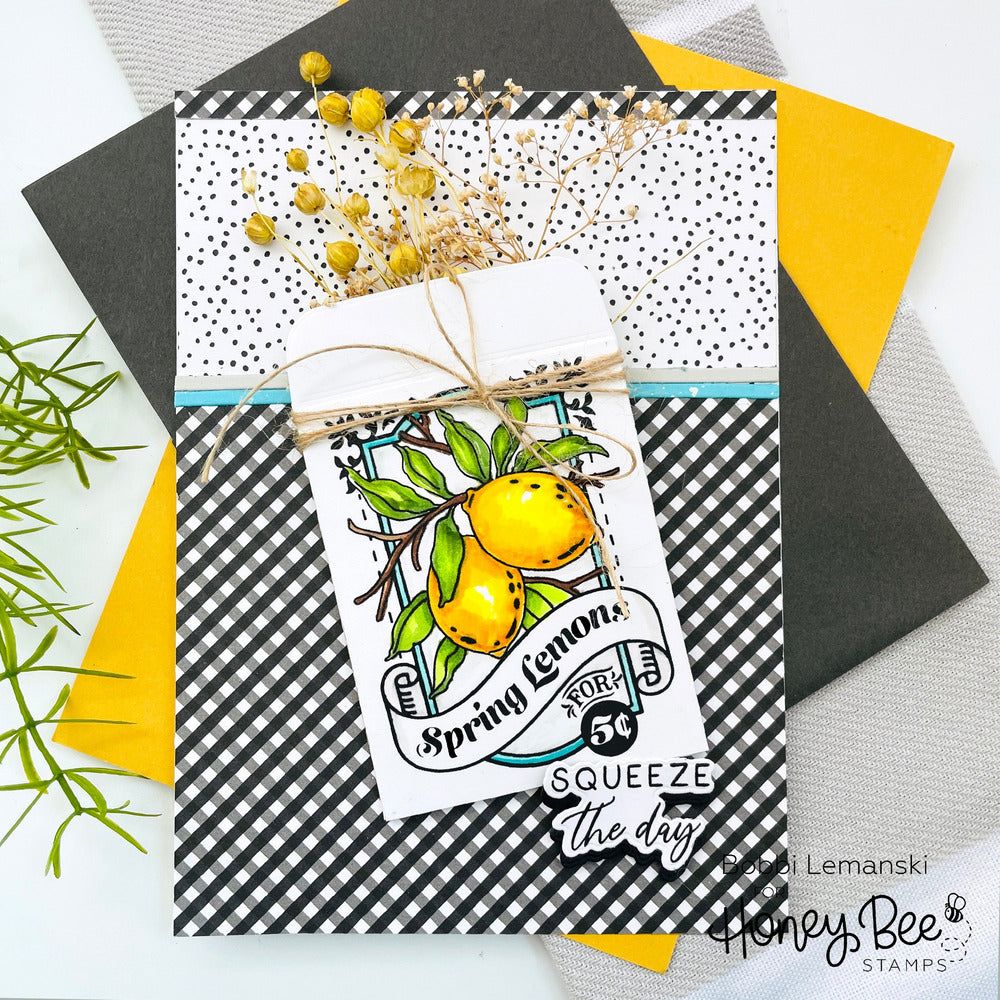 Squeeze The Day - 4x6 Photopolymer Stamp Set - Retiring - Honey Bee Stamps