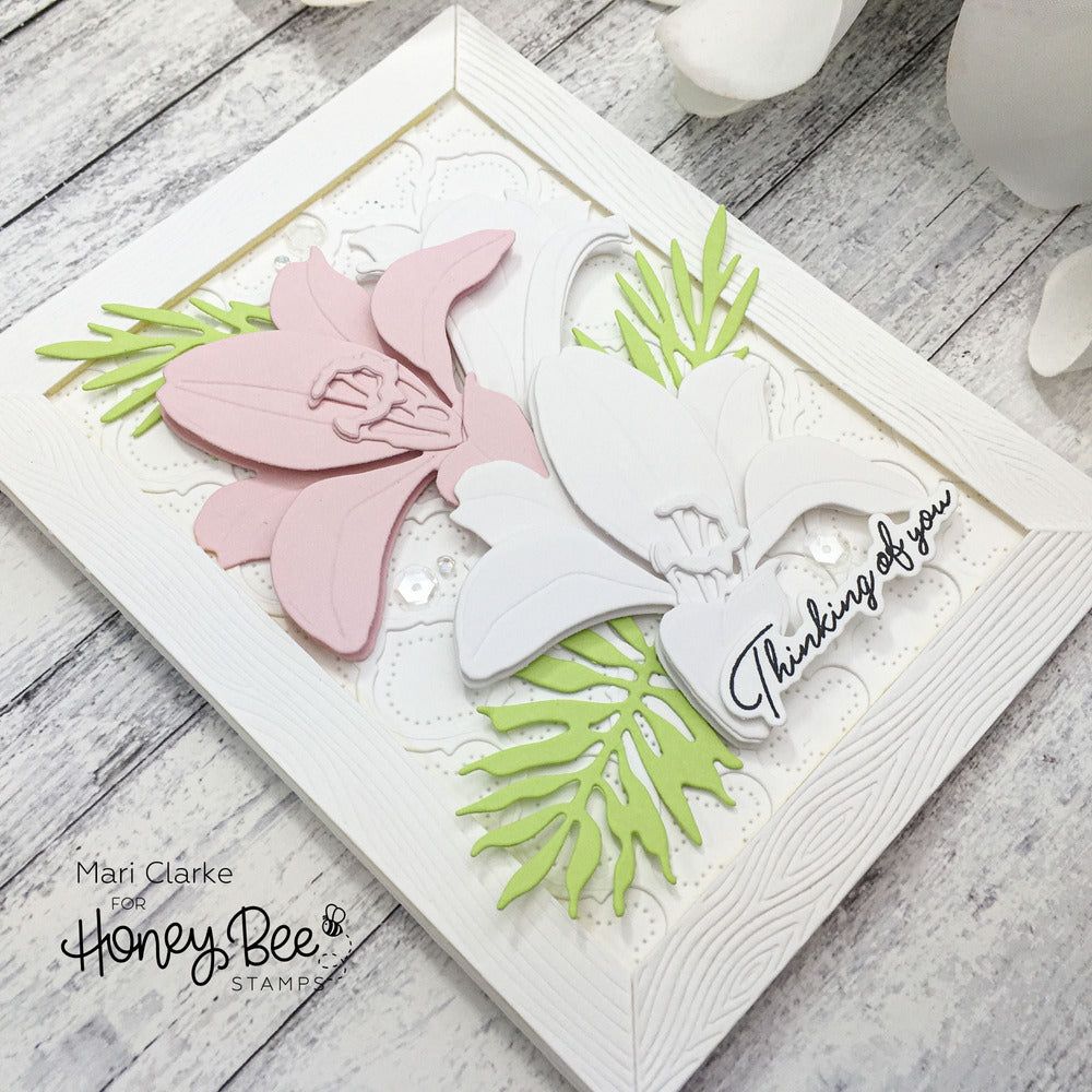 Wood Frame Builder - Honey Cuts - Stand - Alone Dies - Honey Bee Stamps